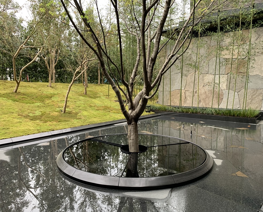 Basin of a certain Hotel (Mirror surface finish of Abel-black)